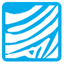 Air Botswana