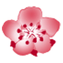 China Airlines