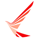 Ruili Airlines