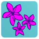 Air Rarotonga