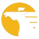 MIAT Mongolian Airlines