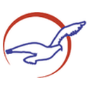 Air Peace Ltd Air Peace Ltd