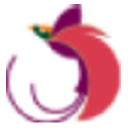 Air Niugini