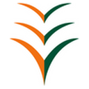 Ibom Airline Limited