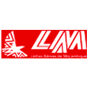 LAM Mozambique Airlines