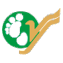 Yeti Airlines